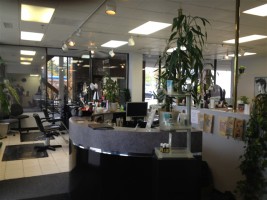 Barber/Beauty Salons For Sale in Illinois